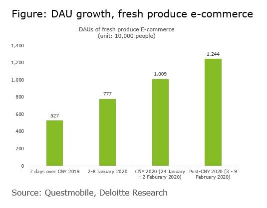 DAU growth, fresh produce e-commerce in China 2020.
